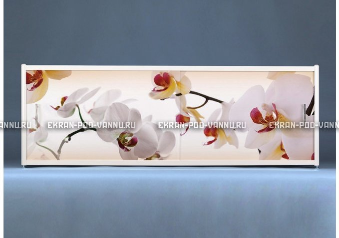 Раздвижной ФОТО экран - Orchid – купить по цене 8500 руб. в интернет-магазине в городе Магнитогорск картинка 1