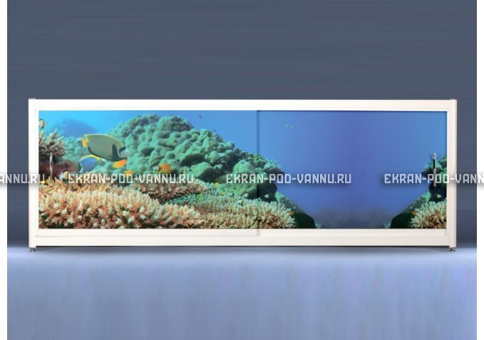 Экран на роликах EUROPLEX Коралловые рифы – купить по цене 12400 руб. в интернет-магазине в городе Магнитогорск картинка 1